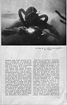 Stop 14-35.jpg